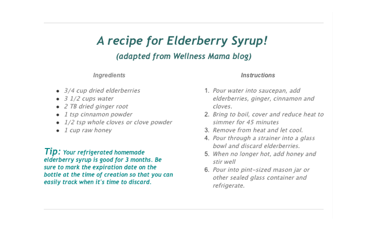 Elderberry Syrup Recipe