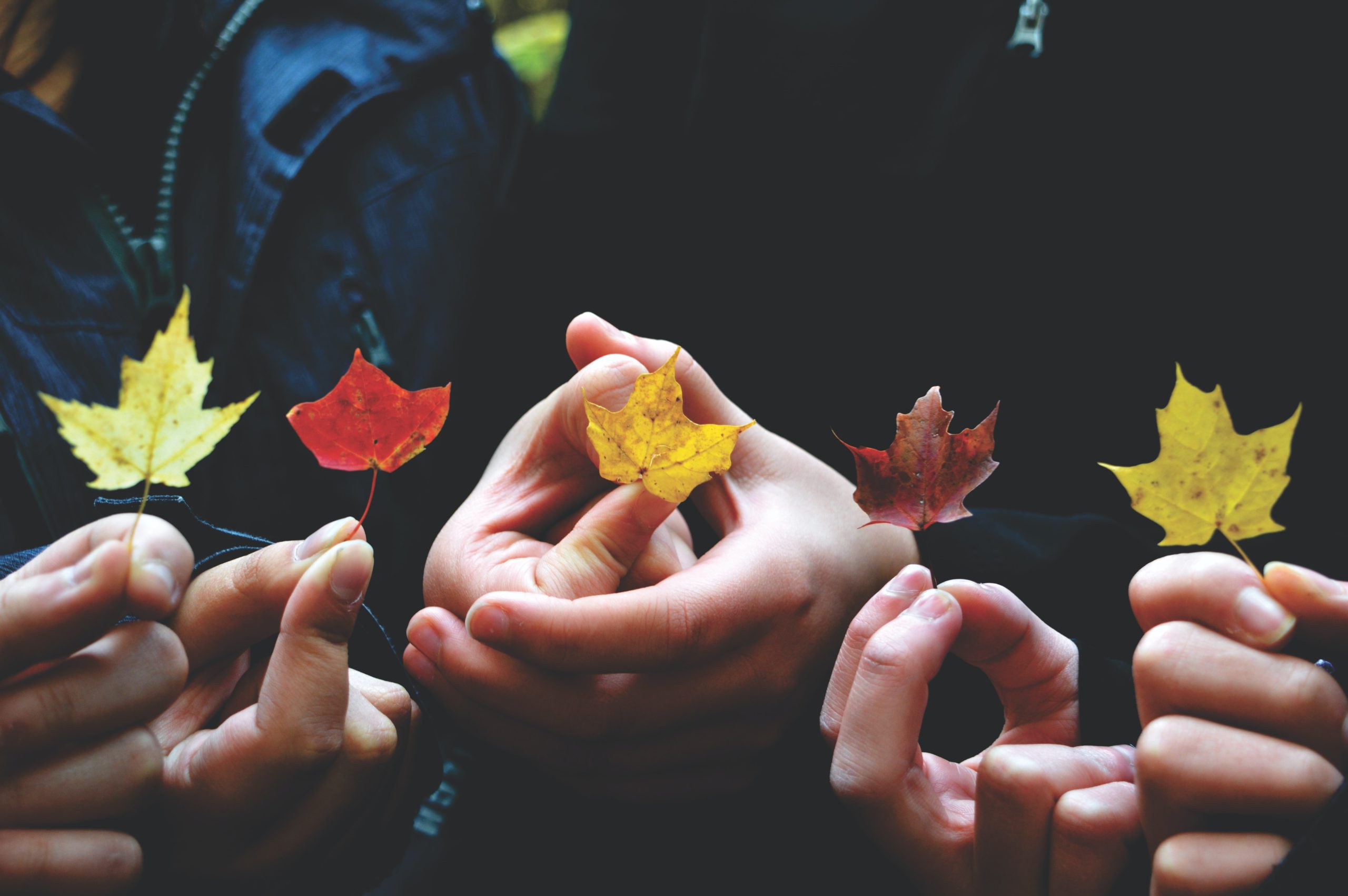 Forest bathing for children